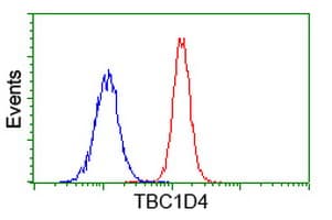 Monoclonal Mouse anti-Human TBC1D4 / AS160 Antibody (clone OTI5A6, IF, WB)