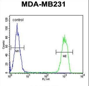 MCMBP / C10orf119 Antibody (aa143-171)