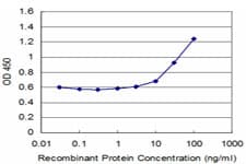 ZNF76 Antibody (clone 3D4)