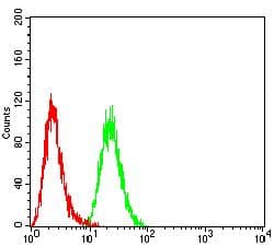 SETD7 / SET7 Antibody (clone 3D6G11)