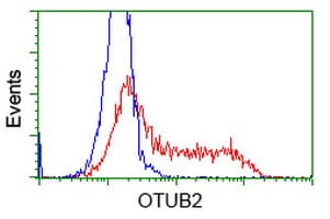OTUB2 Antibody (clone OTI11C8)