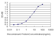 Monoclonal Mouse anti-Human MAPK1 / ERK2 Antibody (clone 1D1, IF, WB)