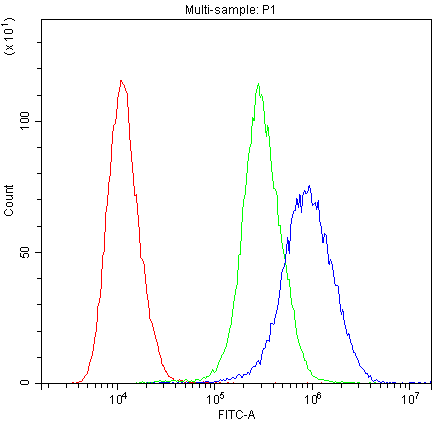 PPP1R12A / MYPT1 Antibody (aa1-17)