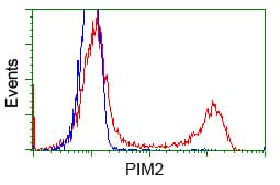 Monoclonal Mouse anti-Human PIM2 / Pim-2 Antibody (clone OTI8B4, IHC, IF, WB)