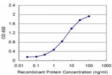 IHC-plus™ CIRP / CIRBP Antibody (clone 1C9)