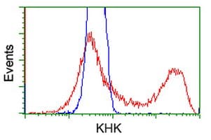 Monoclonal Mouse anti-Human KHK / Ketohexokinase Antibody (clone OTI4B8, IF, WB)