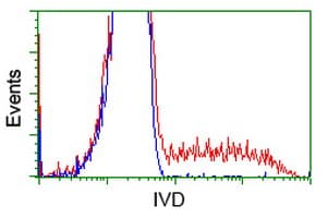 IVD Antibody (clone OTI1F1)