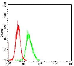 HIST2H3A Antibody (clone 6D3B9)