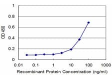 MLLT3 / AF9 Antibody (clone 3C11)