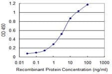 Monoclonal Mouse anti-Human PAI-RBP1 / SERBP1 Antibody (clone 1G5-2D7, WB)