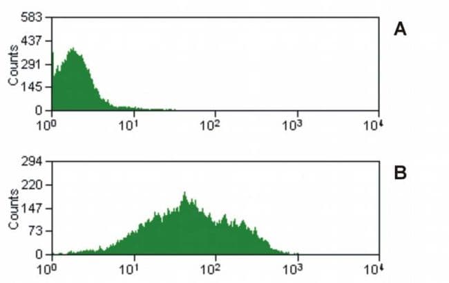 CD47 Antibody (clone MEM-122)