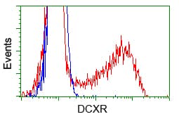 DCXR Antibody (clone OTI4D11)