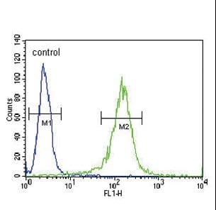 RDH10 Antibody (aa106-135)