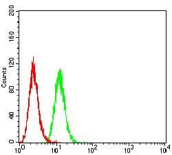 BCL2L2 / Bcl-w Antibody (clone 4G12D11)