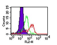 TLR4 Antibody (clone HTA125, PE)