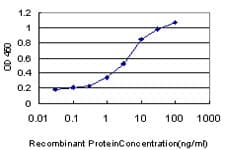 Monoclonal Mouse anti-Human MPG Antibody (clone 2C5, IHC, IF, WB)