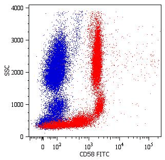 CD58 Antibody (clone MEM-63, FITC)