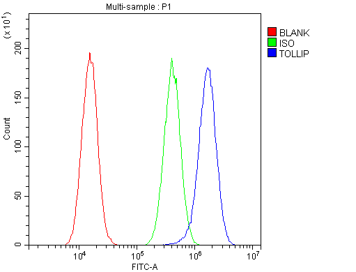 Polyclonal Rabbit anti-Human TOLLIP Antibody (aa224-243, IHC, WB)