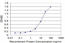 SS18 Antibody (clone 1C8)