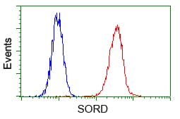 SORD / Sorbitol Dehydrogenase Antibody (clone OTI15H2)