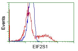 Monoclonal Mouse anti-Human EIF2S1 Antibody (clone OTI3H7, WB)