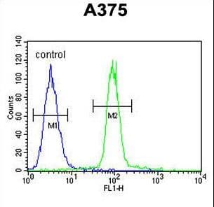 A1CF / ACF Antibody (aa394-423)