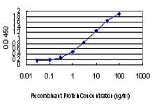 PPP3CB Antibody (clone 5D3)