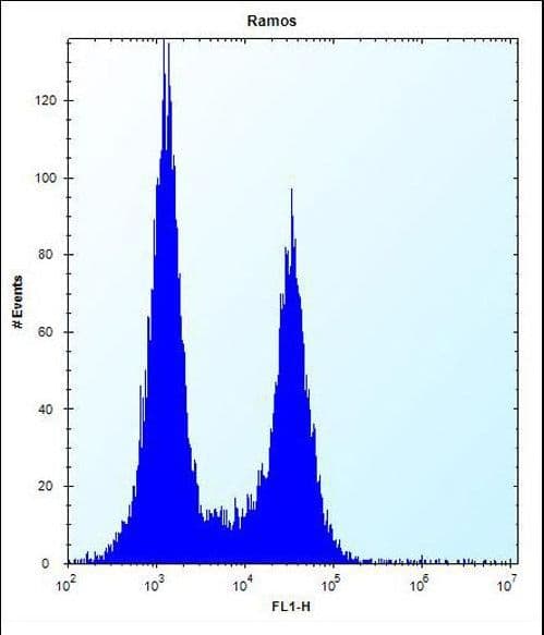 UBN2 Antibody (aa171-200)