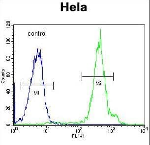 FUS / TLS Antibody (aa499-526)