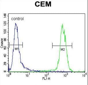 IHC-plus™ Polyclonal Rabbit anti-Human PON1 / ESA Antibody (aa118-145, IHC, WB)