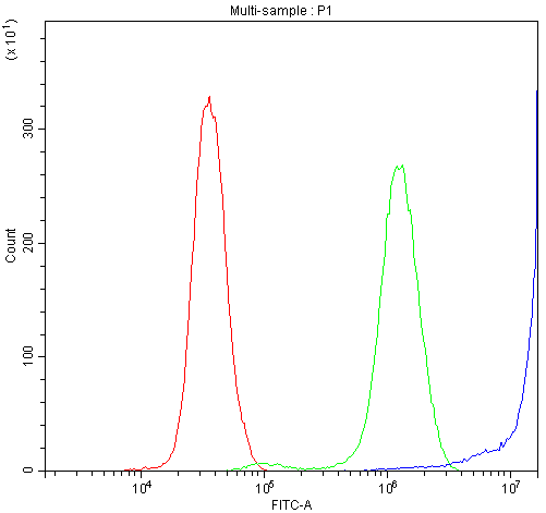 DBI / ACBD1 Antibody