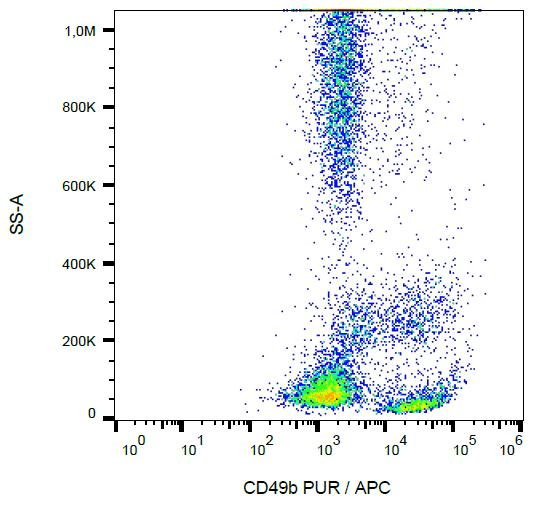 ITGA2 / CD49b Antibody (clone AK7)