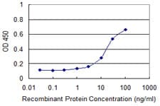 IL1A / IL-1 Alpha Antibody (clone 4B8)