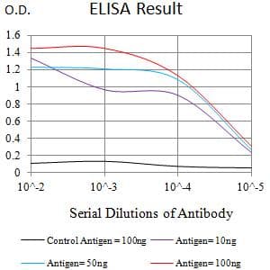 BCL10 / BCL-10 Antibody (clone 3C11F4)