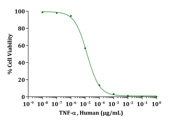 Human TNF Alpha Protein (Recombinant)