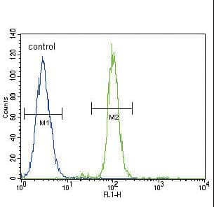 CD14 Antibody (aa54-83)
