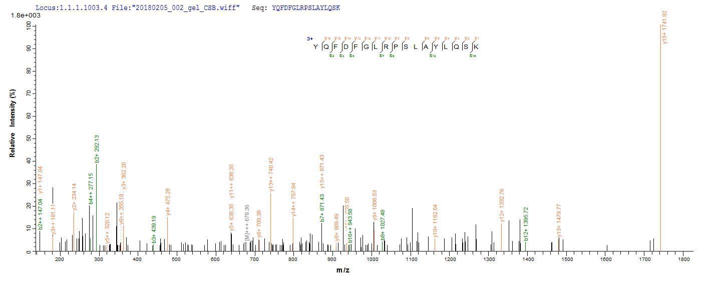 E. coli Outer Membrane Protein C (Recombinant)