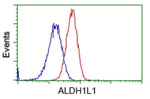 ALDH1L1 Antibody (clone OTI4C11)