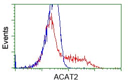 Monoclonal Mouse anti-Human ACAT2 Antibody (clone OTI1G6, IHC, IF, WB)
