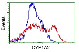 CYP1A2 Antibody (clone OTI7D12)