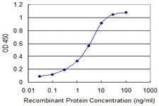 Monoclonal Mouse anti-Human FXN / Frataxin Antibody (clone 1D9, WB)