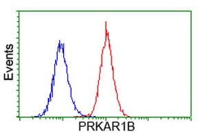 PRKAR1B Antibody (clone OTI9C5, Carrier-free)