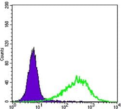 RAB25 Antibody (clone 3F12)