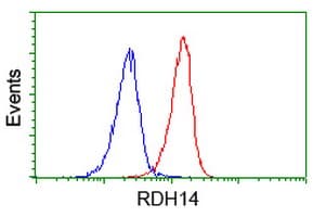RDH14 Antibody (clone OTI1A7)
