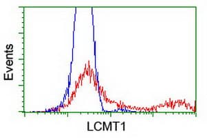 LCMT1 Antibody (clone OTI 5D5)