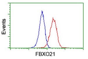 FBXO21 Antibody (clone OTI6E7, Carrier-free)
