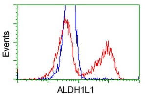 ALDH1L1 Antibody (clone OTI7G6)