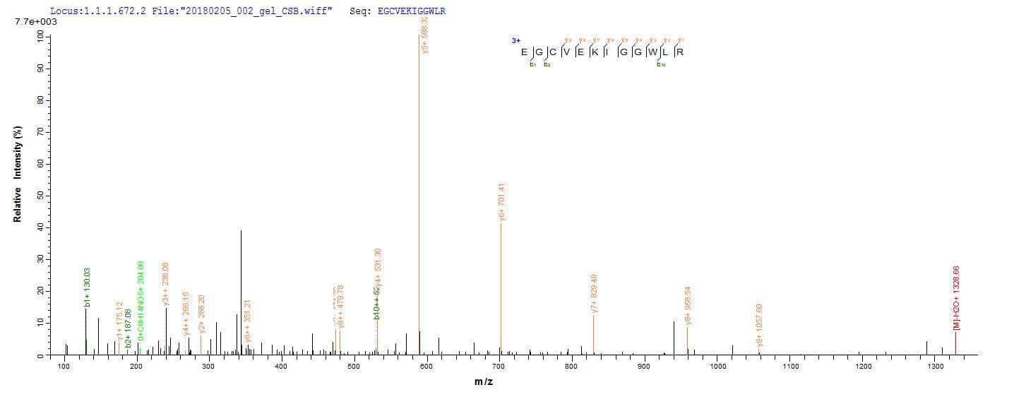 Human CD63 Protein (Recombinant 6His, N-terminus)