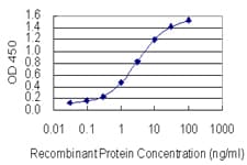 Monoclonal Mouse anti-Human SP2 Antibody (clone 5D3, WB)