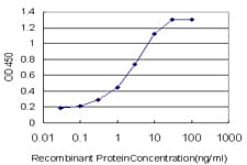 Monoclonal Mouse anti-Human EPHB3 / EPH Receptor B3 Antibody (clone 2G8, IHC, WB)